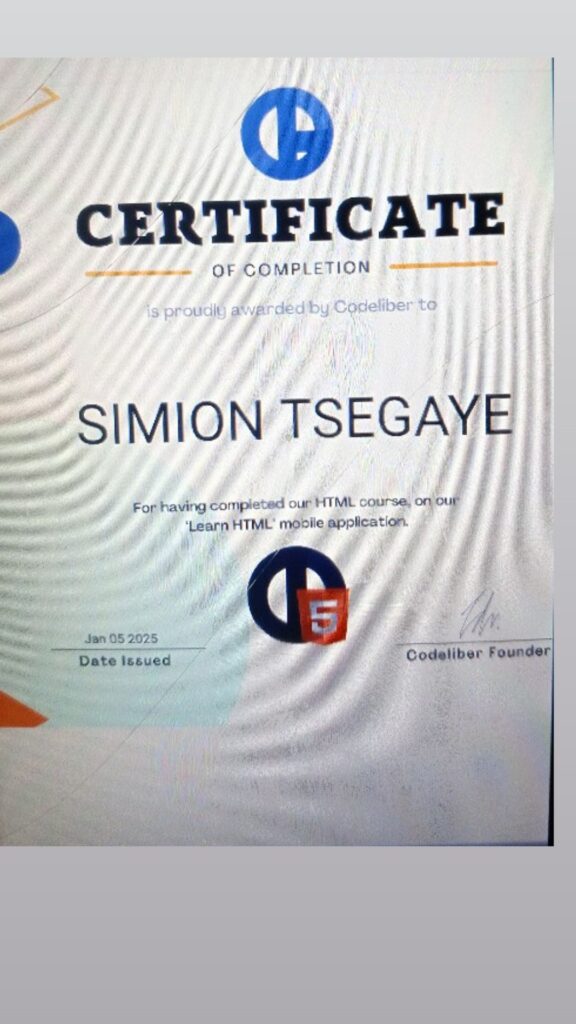 Simion Tsegaye - portfolio - 0