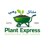 Plant Express - النبطية, لبنان