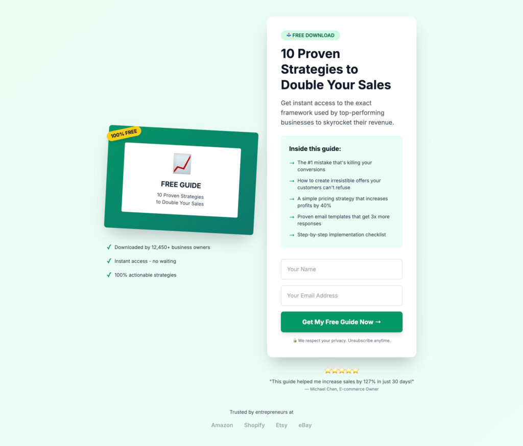 Get a Professional Landing Page That Converts - portfolio - 2