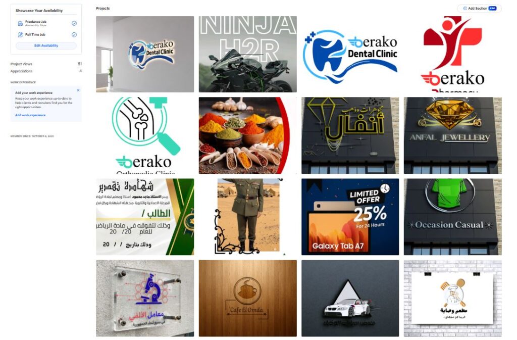 Karim Mohamed - portfolio - 0