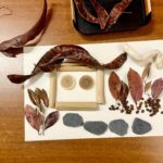 Exploration sensorielle et nature Atelier parent‑enfant