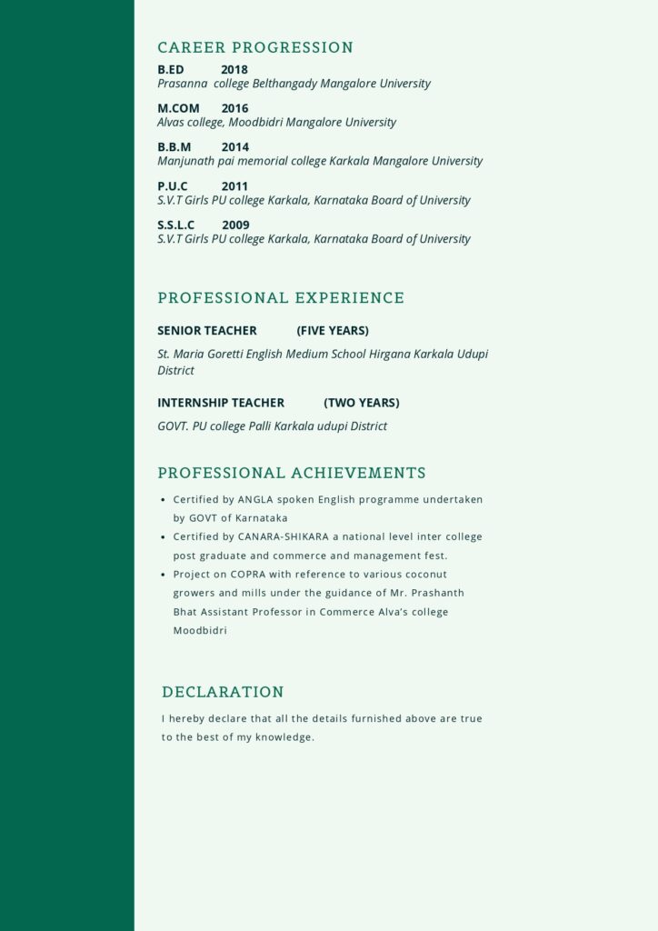 Construction de CV - portfolio - 1