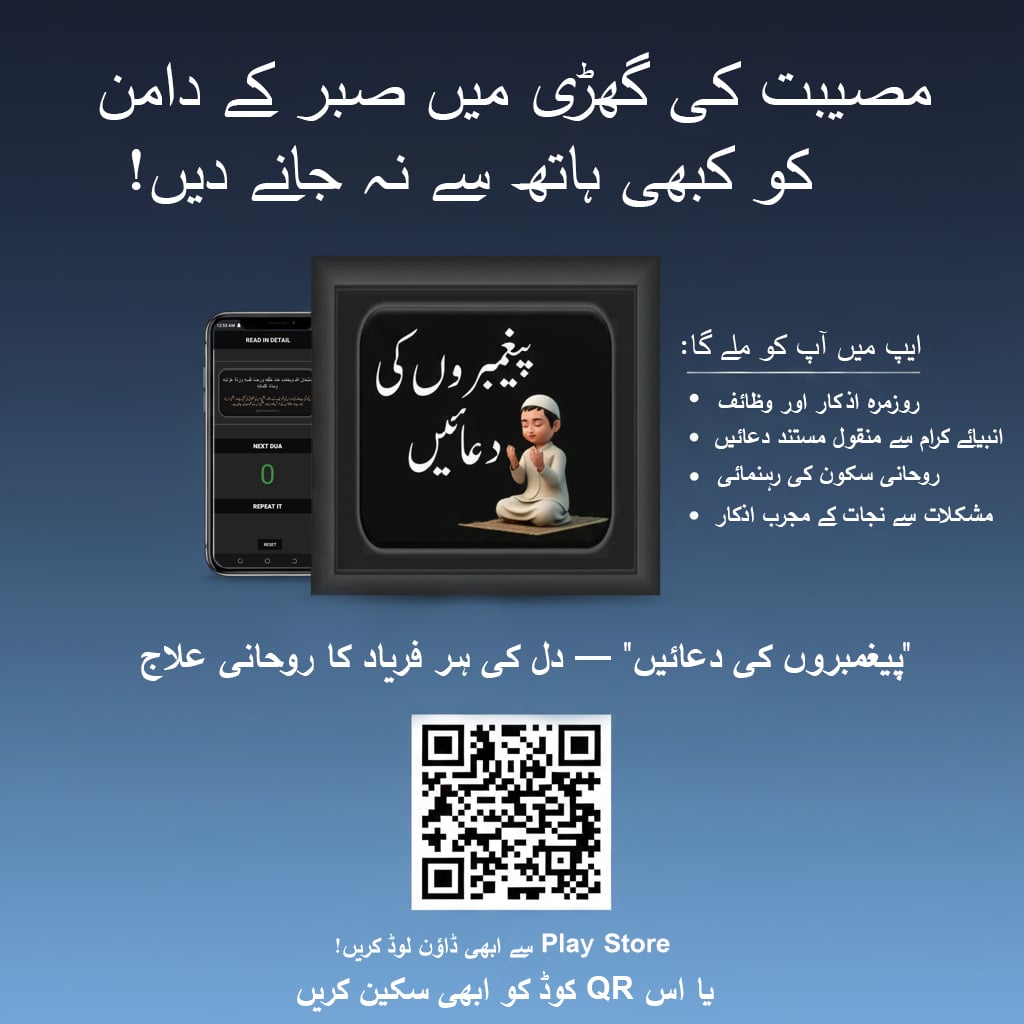 ZAIN KHALID - portfolio - 2