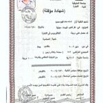 بكالوريوس التجارة