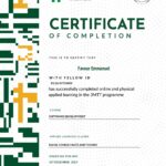 Software Development
