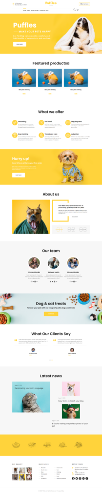 Daksh Agarwal - portfolio - 1