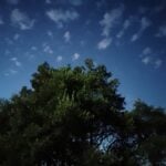 Said Medjkan - تيزي وزو, الجزائر