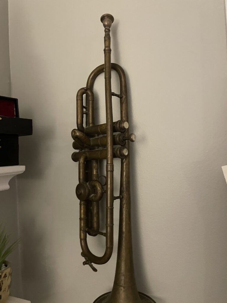 Je vous donnerai, à vous, à un ami ou à votre enfant des cours particuliers sur la musique générale et/ou son instrument spécifique afin d’améliorer sa musicalité et son sens de l’individualité - portfolio - 0
