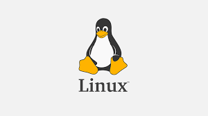 INSTALLATION DES SYSTEMES D'EXPLOITATION - portfolio - 1