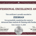 Professional Data Cleaning & Management