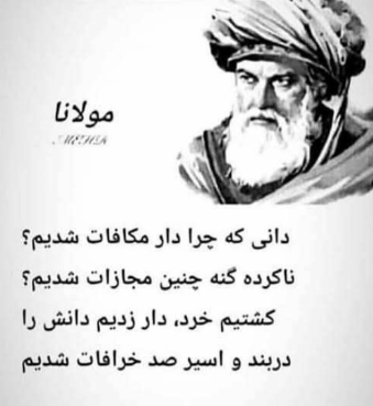 mohammad essa Jafari - portfolio - 0
