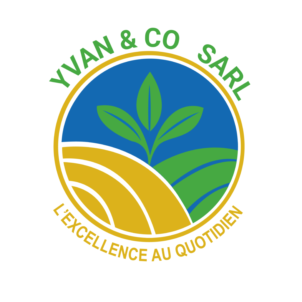 Je vais créer un LOGO impactant pour votre marque. - portfolio - 2