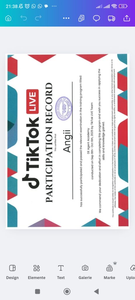 Anda Sipura Jaksic - portfolio - 0