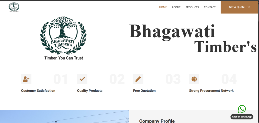I will create Websites as per your requests - portfolio - 0