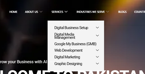 Je suis propriétaire du marketing digital - portfolio - 0