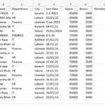 Spécialiste professionnel de la saisie de données et Excel | Travail rapide et précis