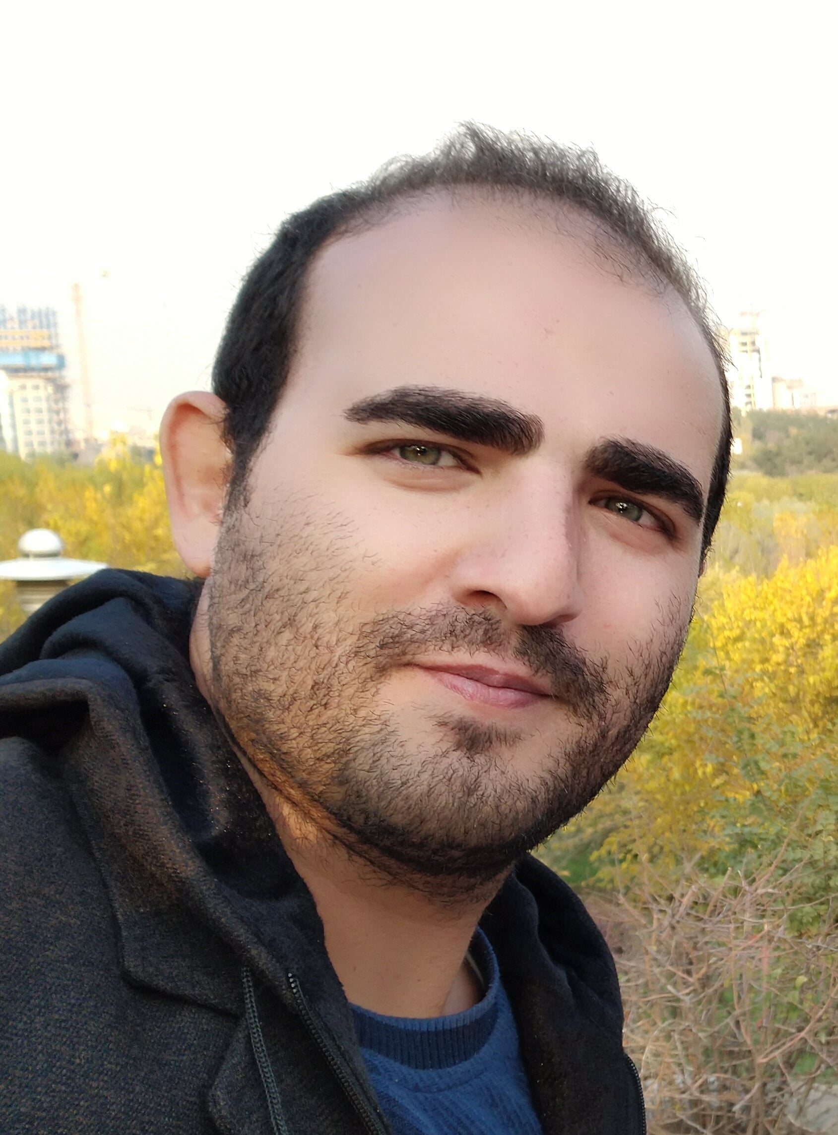 Hadi Hoseini