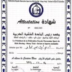 حزام أزرق كامل التماس