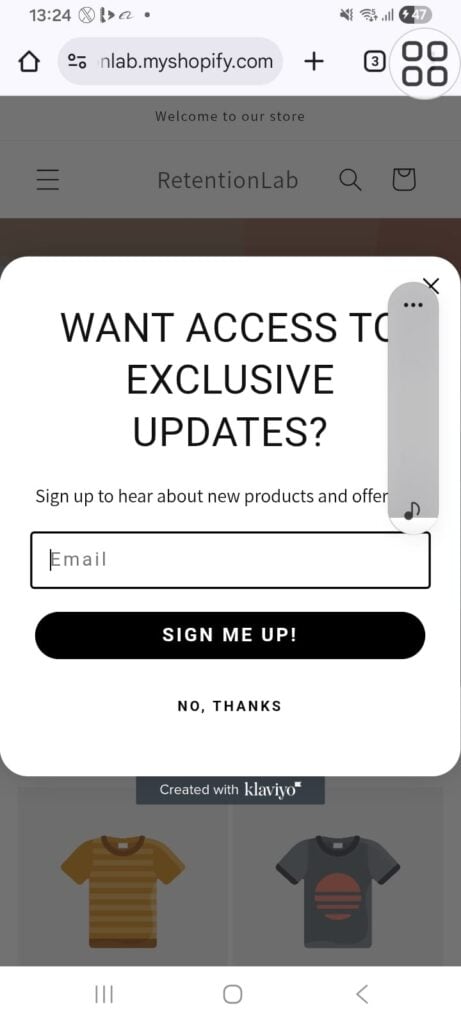 Klaviyo integration and Setup - portfolio - 2
