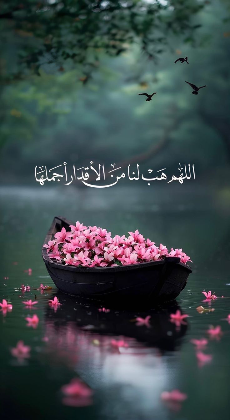 marwa alkassem - cover