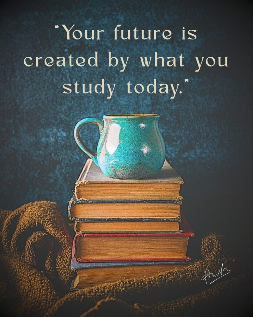 I will create customised social media post and e book covers in Canva and share a source file link of Canva - portfolio - 2