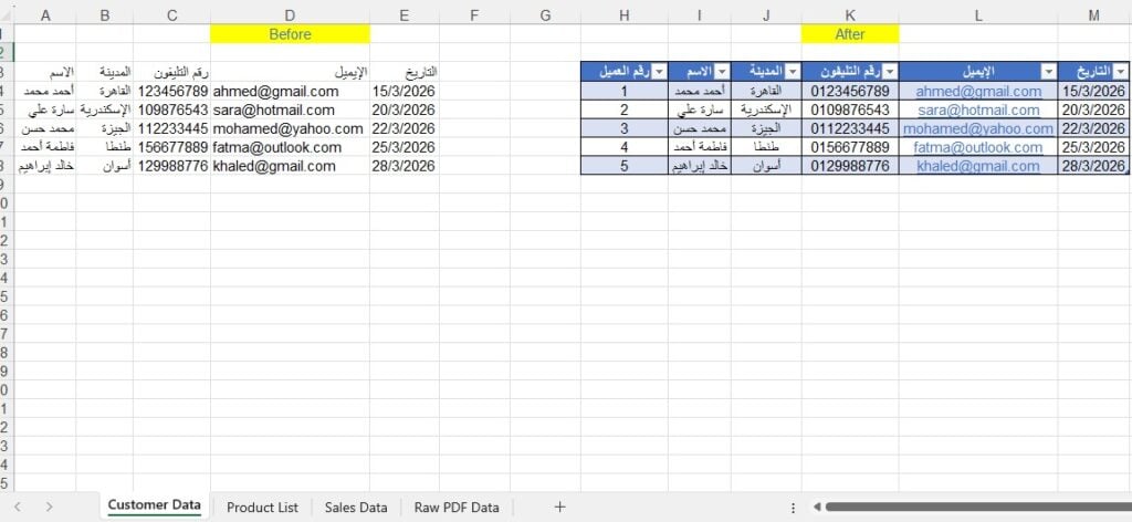 Saisie de données | Saisie des données en arabe et en anglais dans Excel et Google Sheets - portfolio - 0