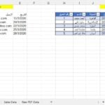 Saisie de données | Saisie des données en arabe et en anglais dans Excel et Google Sheets - À distance
