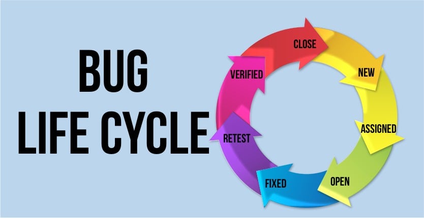 Bug Lifecycle Management & Reporting - portfolio - 0