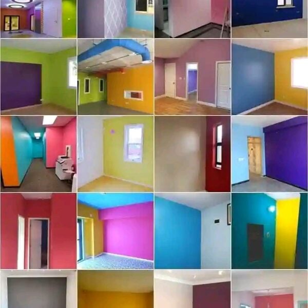 Maja Paints