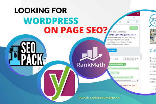 سأقوم بتحسين تحسين محركات البحث الكامل لصفحات WordPress - portfolio - 0