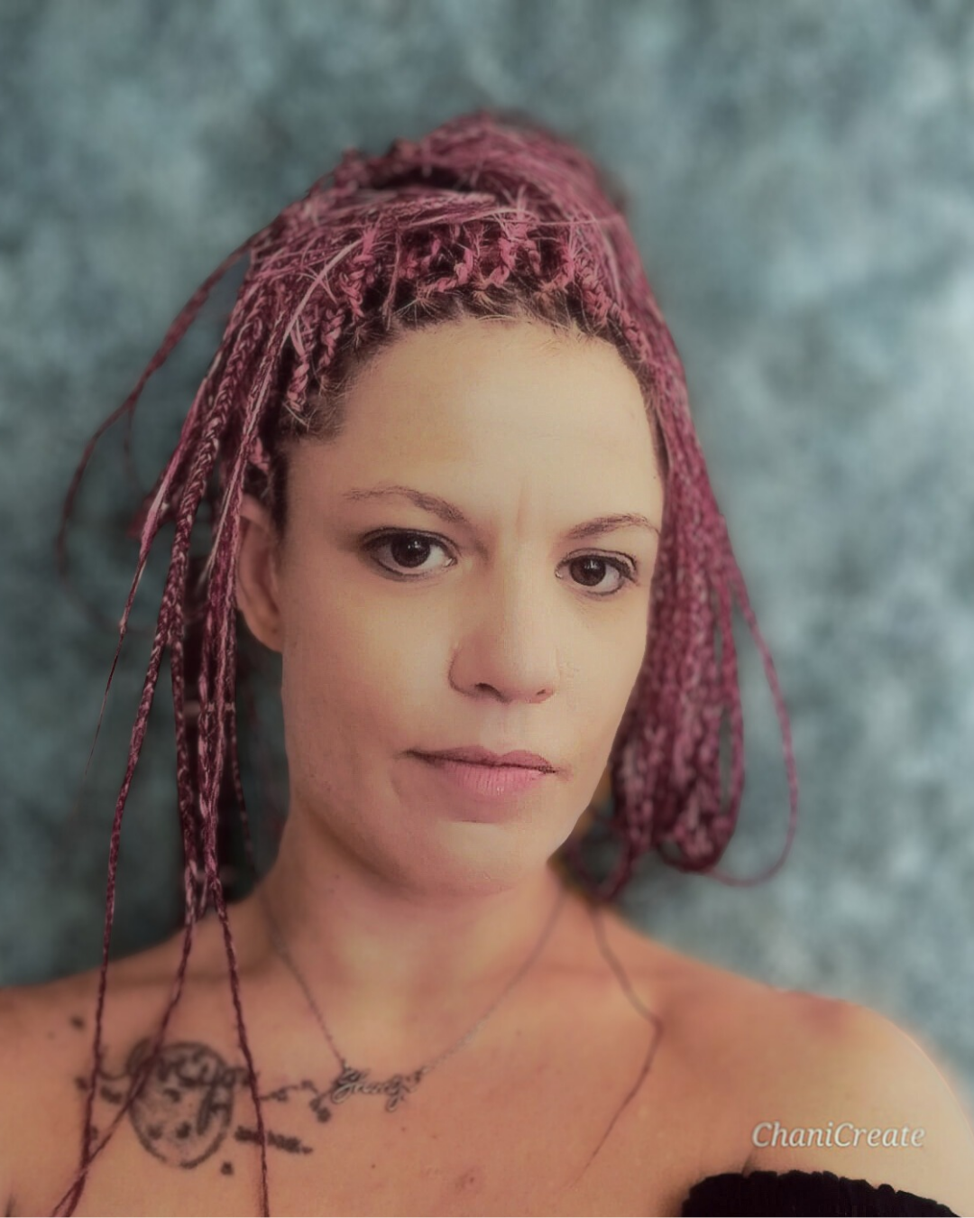 Chani Fick - cover