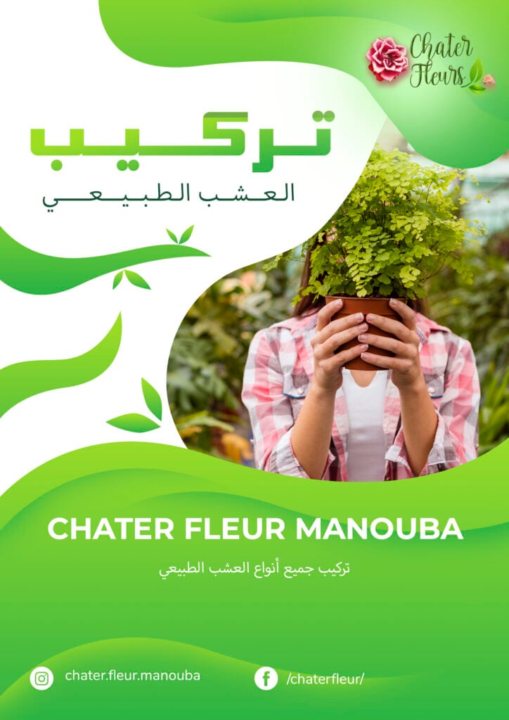 omri Hajer - portfolio - 2