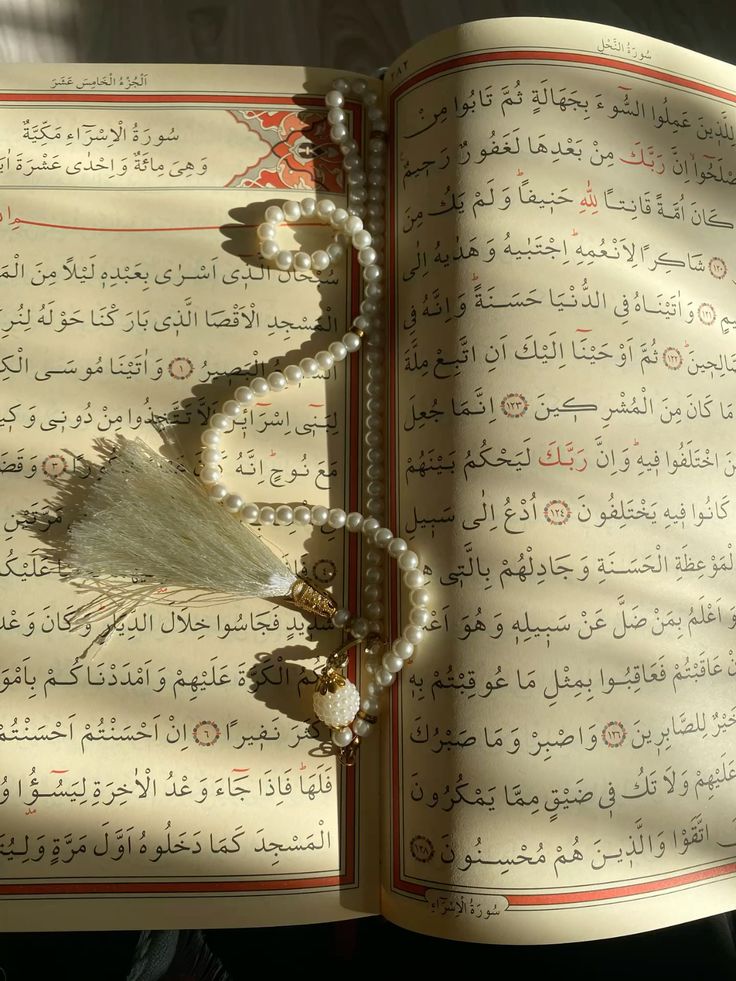 I GIVE QURAN LESSONS LIVE  - portfolio - 0