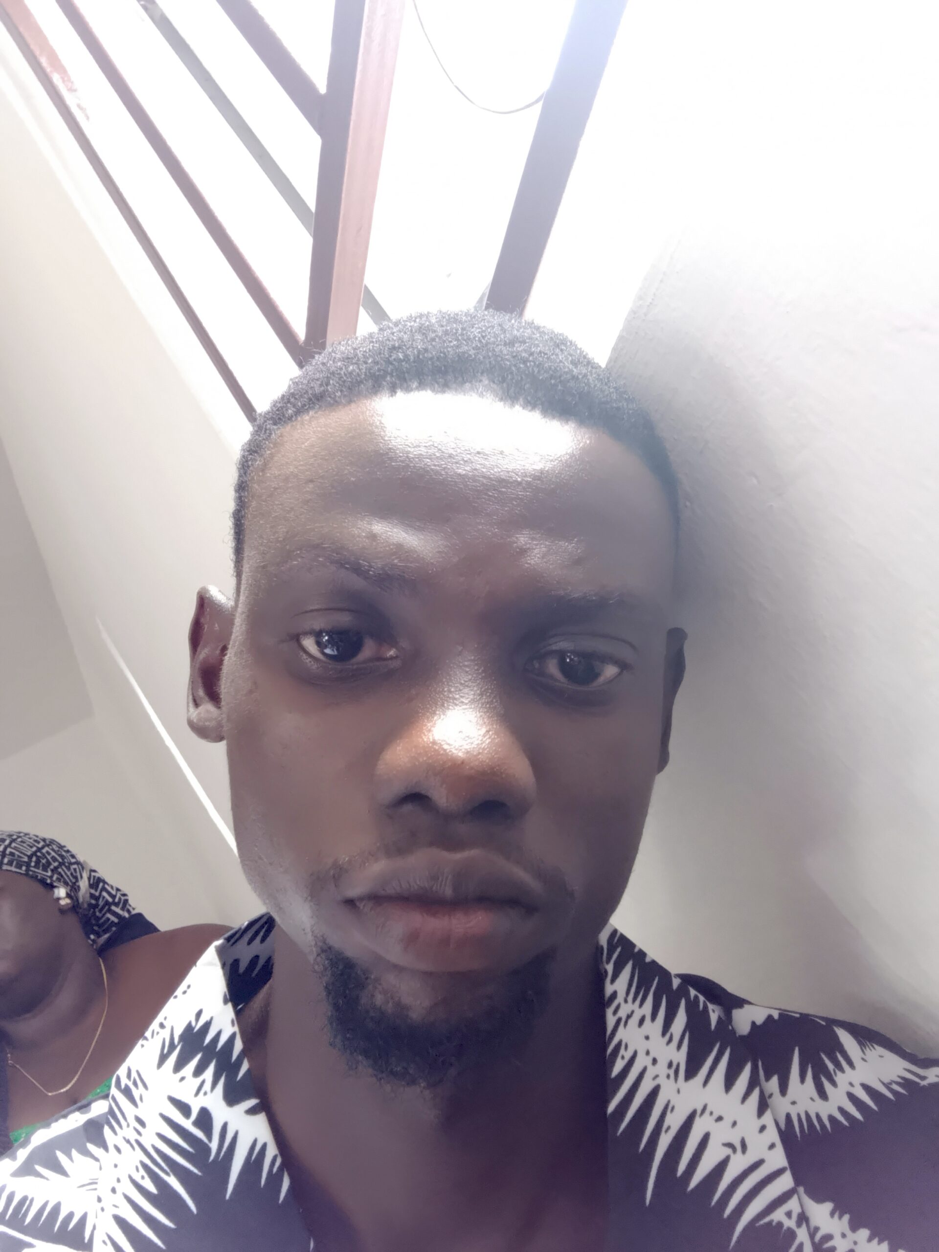 Feranmi Ogunlesi