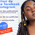 Gestion des réseaux sociaux - À distance