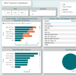 Tableau de bord d’analyse des données de placement | Power BI + Excel Starter Tier - À distance