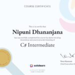 Programming in C#