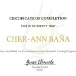 E-Commerce Virtual Assistant Training Program