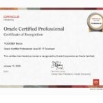 Oracle Certified Professional: Java SE 17 Developer