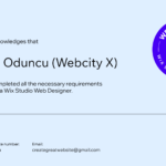 Wix Studio Web Designer