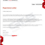 Frontend React JS Developer Experience Letter