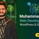 I will creat a SEO optimized wordpress website, wordpress developer with elementor pro - Remote