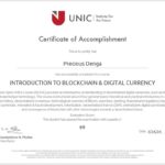 Introduction to Blockchain and digital money