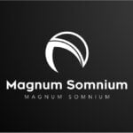 Je m’appelle [Bhupendra], et je représente Magnum Somnium pour le design graphique, le design de logos, l’analyse de données et le design web  - À distance
