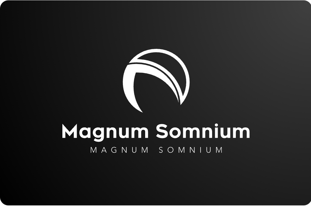 Je m’appelle [Bhupendra], et je représente Magnum Somnium pour le design graphique, le design de logos, l’analyse de données et le design web  - portfolio - 0