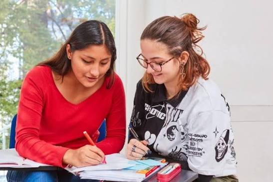Enseignante de français, anglais et Darija marocain  - portfolio - 0