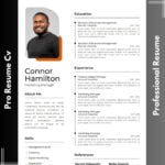 Professional CV/Resume Maker   - Remote