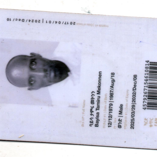 Bayisa Tamiru