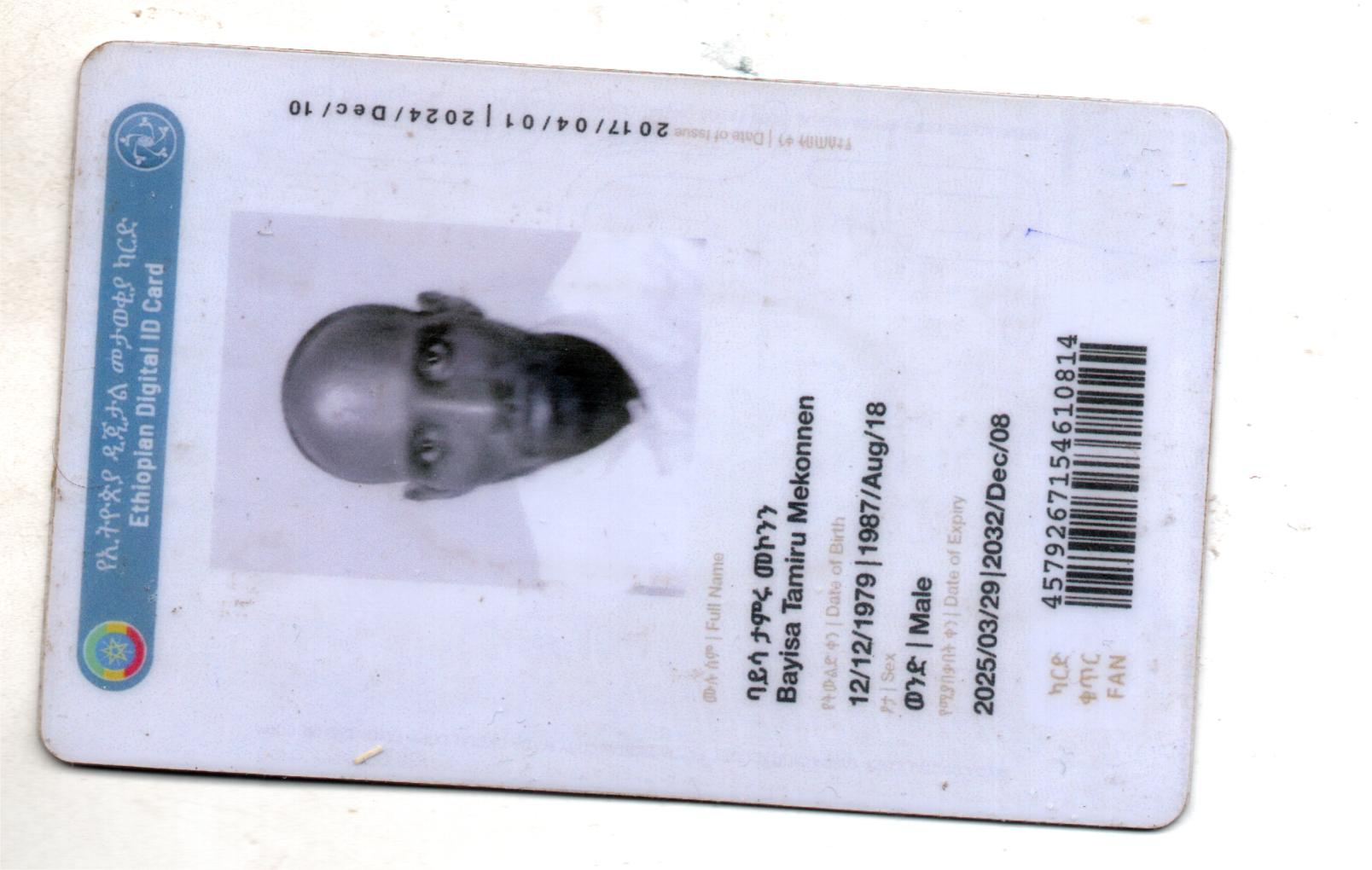 Bayisa Tamiru