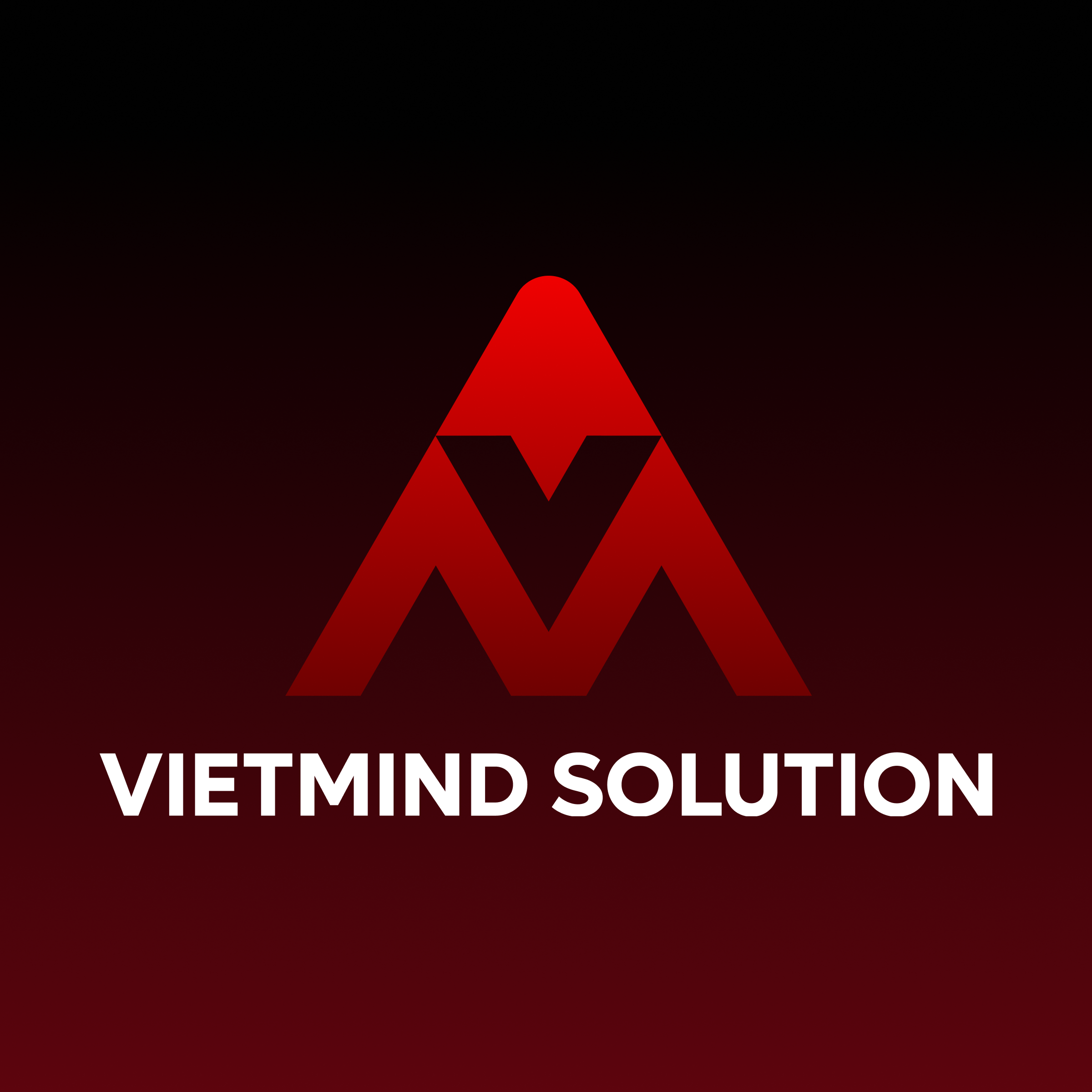 Vietmind Solution